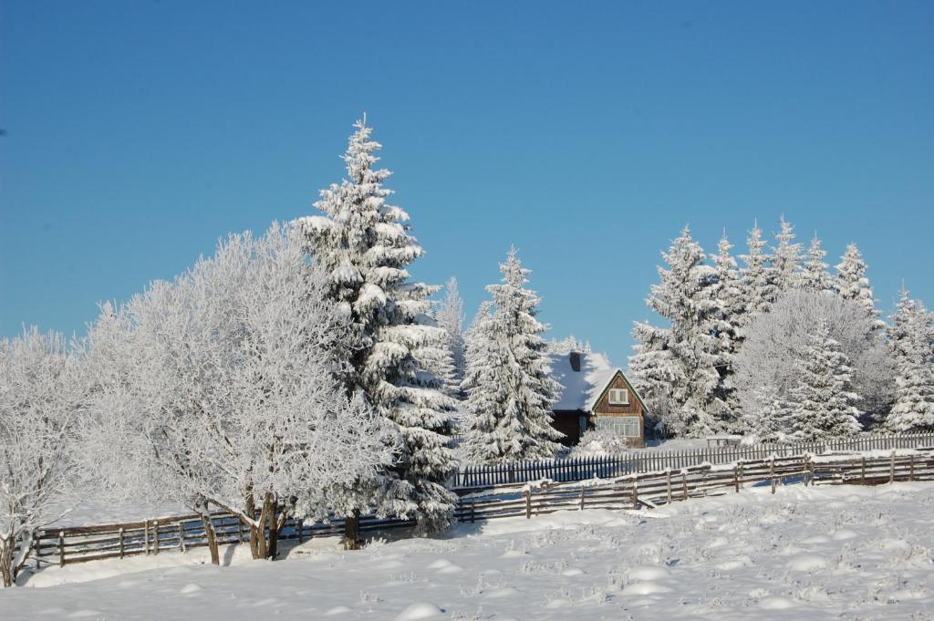 Cabana Motilor Mărişel Dış mekan fotoğraf