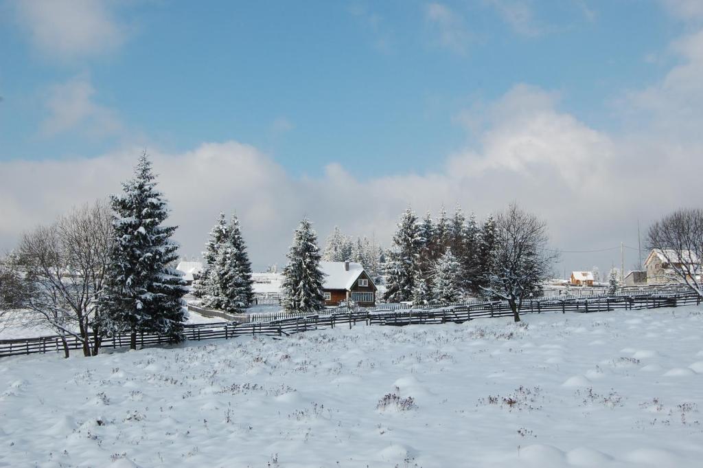 Cabana Motilor Mărişel Dış mekan fotoğraf