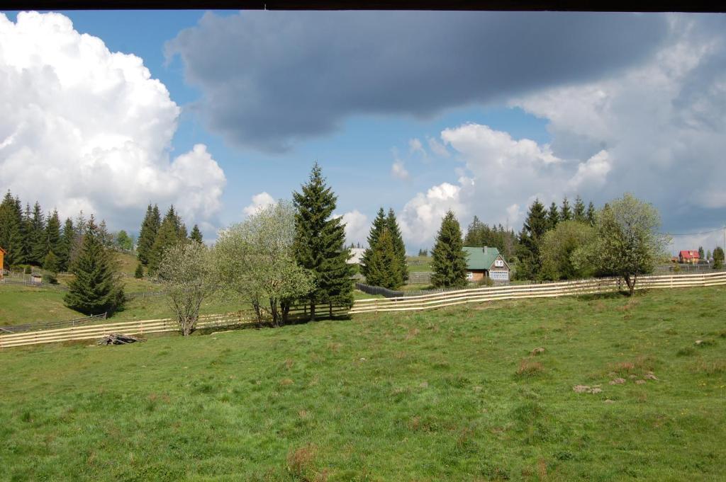 Cabana Motilor Mărişel Dış mekan fotoğraf