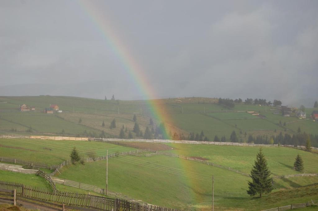 Cabana Motilor Mărişel Dış mekan fotoğraf
