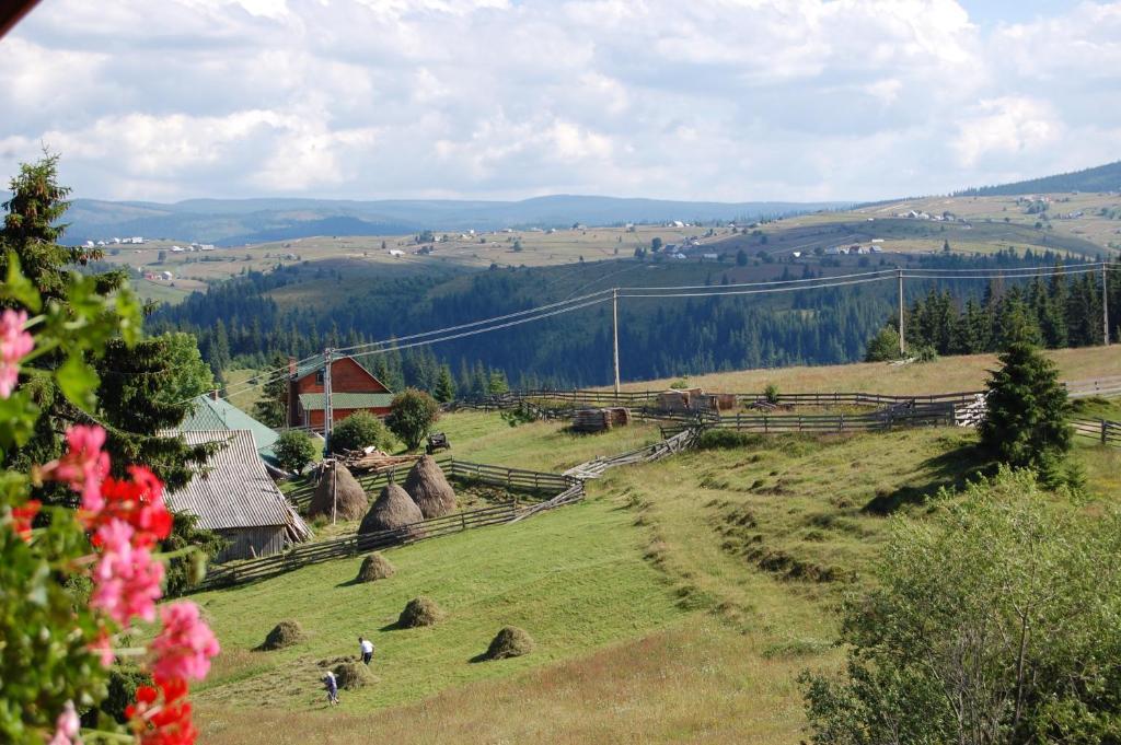Cabana Motilor Mărişel Dış mekan fotoğraf