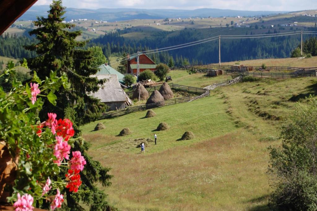 Cabana Motilor Mărişel Dış mekan fotoğraf