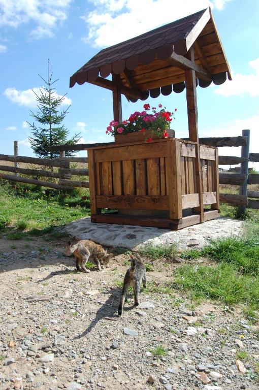 Cabana Motilor Mărişel Dış mekan fotoğraf