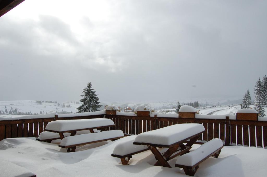 Cabana Motilor Mărişel Dış mekan fotoğraf