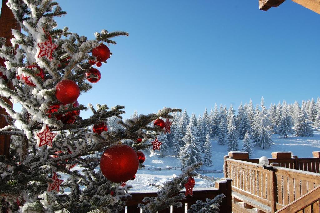 Cabana Motilor Mărişel Dış mekan fotoğraf