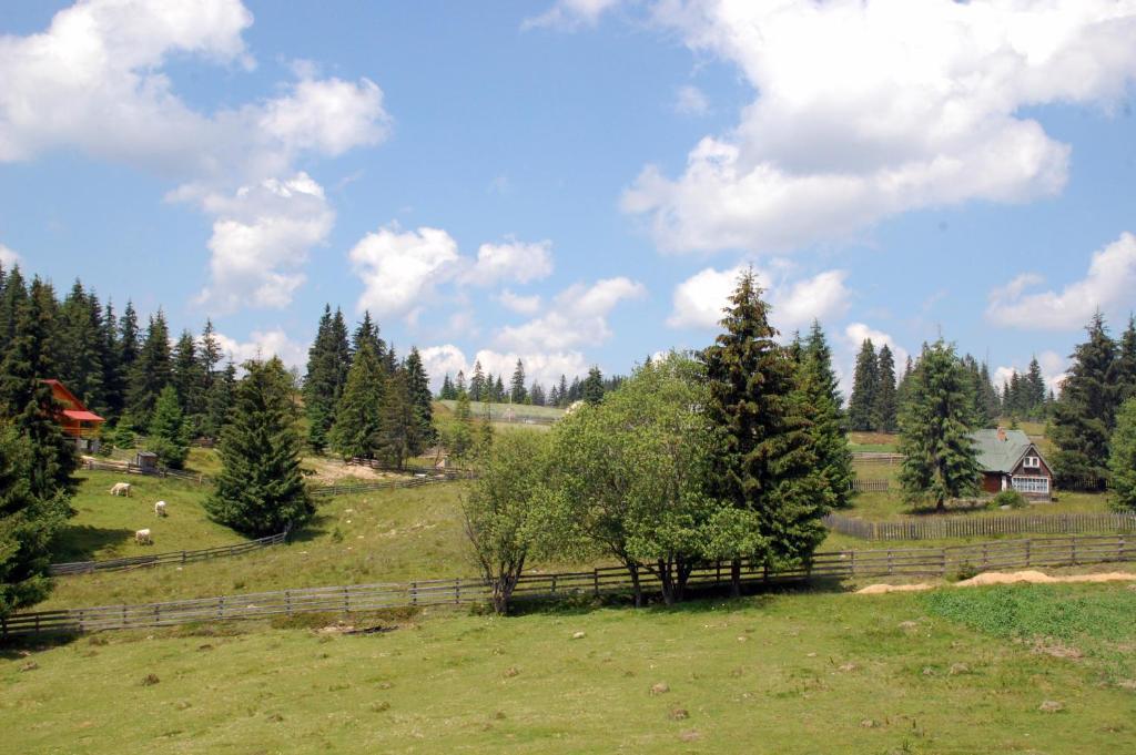 Cabana Motilor Mărişel Oda fotoğraf