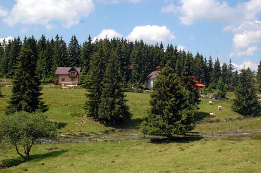 Cabana Motilor Mărişel Oda fotoğraf