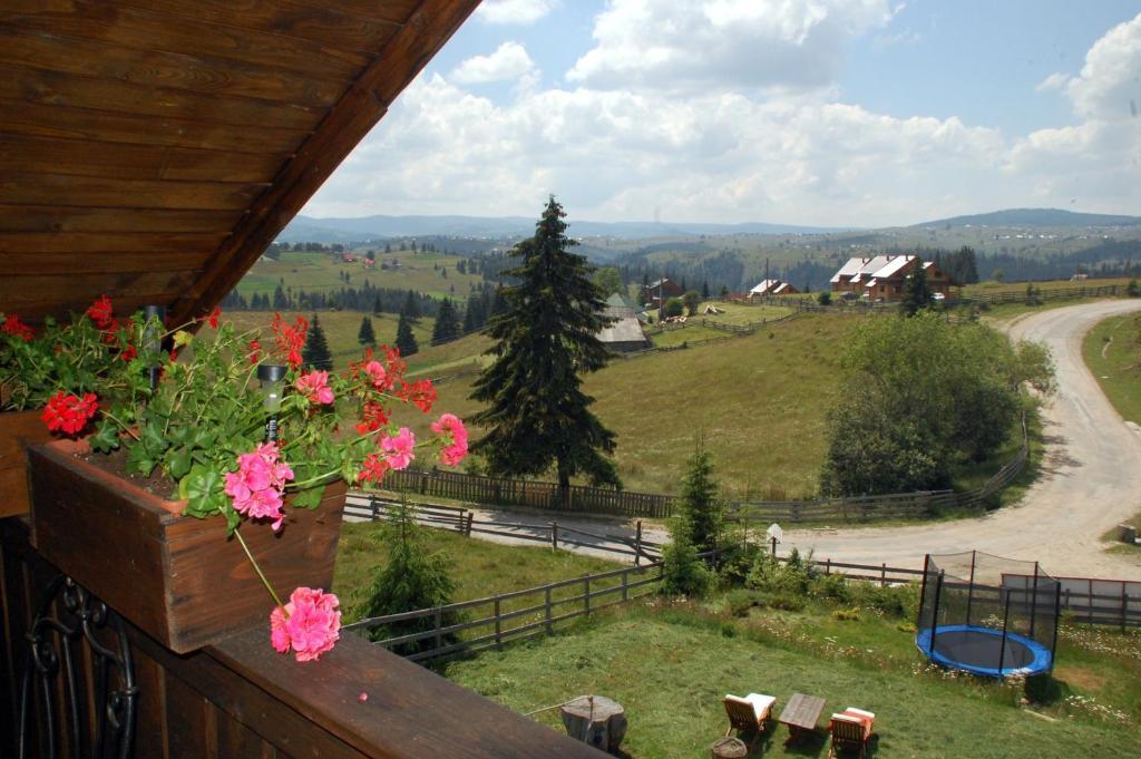 Cabana Motilor Mărişel Oda fotoğraf